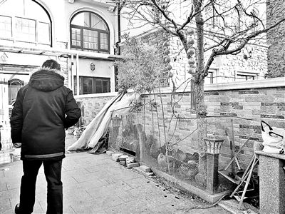 別墅區養11隻大公雞 咱議事廳說說